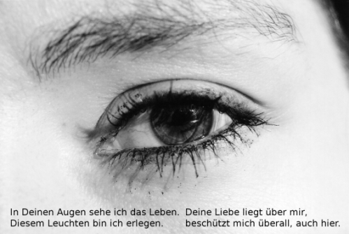 eye
